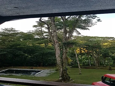 Chácara a Venda com 2 Dormitórios à Venda - Fazendinha - Biguaçu/SC - Foto 41