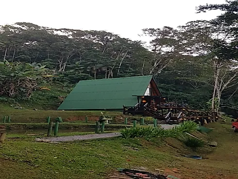 Chácara a Venda com 2 Dormitórios à Venda - Fazendinha - Biguaçu/SC - Foto 11