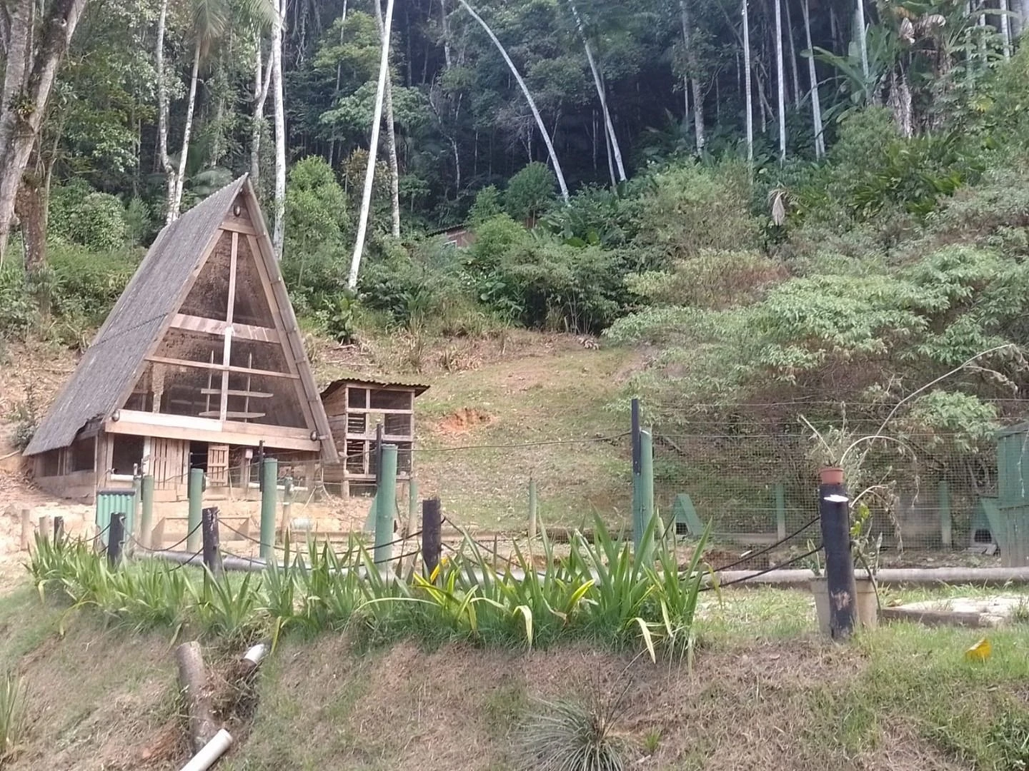 Chácara em Três Riachos, Biguaçu