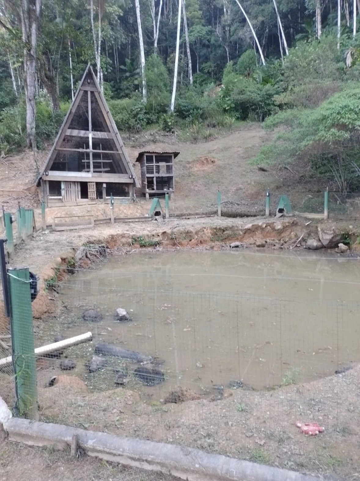 Chácara a Venda com 2 Dormitórios à Venda - Fazendinha - Biguaçu/SC - Foto 11