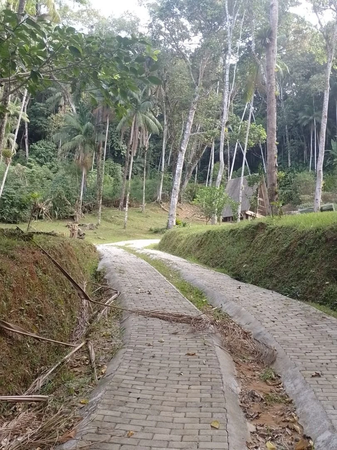 Chácara a Venda com 2 Dormitórios à Venda - Fazendinha - Biguaçu/SC - Foto 12