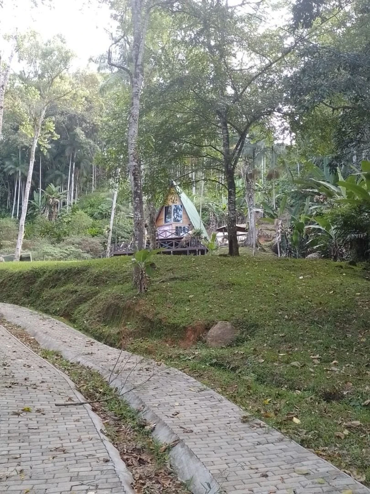 Chácara a Venda com 2 Dormitórios à Venda - Fazendinha - Biguaçu/SC - Foto 15