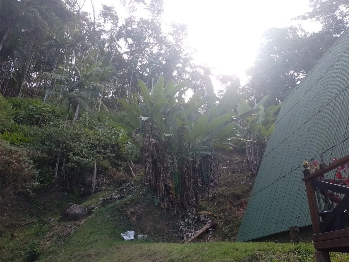Chácara a Venda com 2 Dormitórios à Venda - Fazendinha - Biguaçu/SC - Foto 17