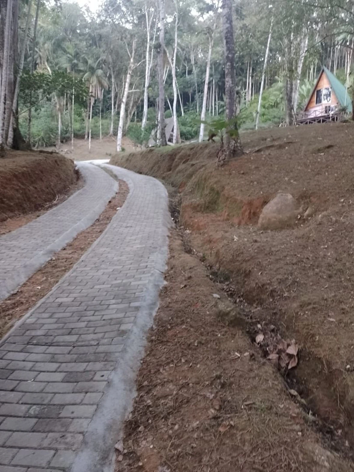 Chácara a Venda com 2 Dormitórios à Venda - Fazendinha - Biguaçu/SC - Foto 18