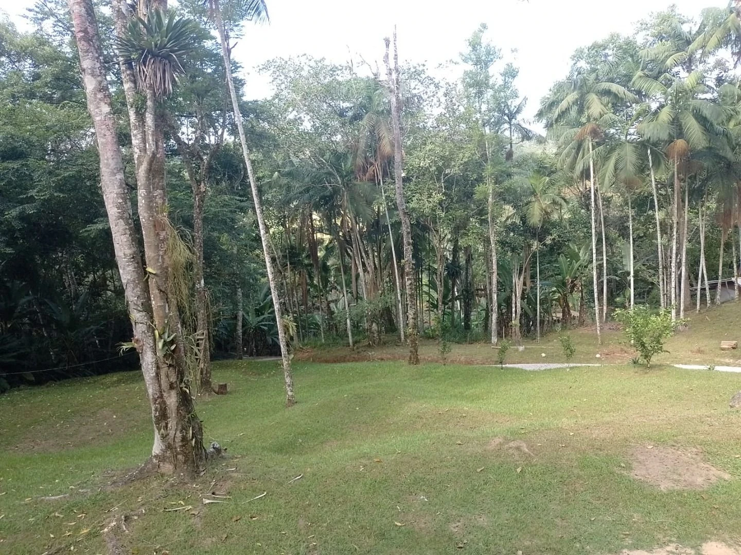 Chácara a Venda com 2 Dormitórios à Venda - Fazendinha - Biguaçu/SC - Foto 19