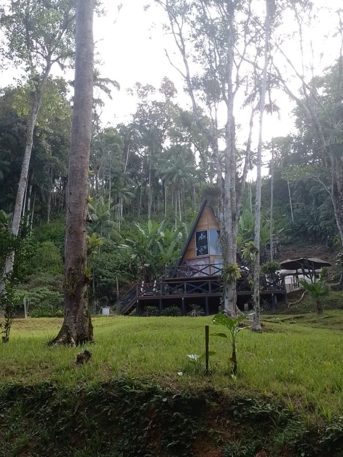 Chácara a Venda com 2 Dormitórios à Venda - Fazendinha - Biguaçu/SC - Foto 20