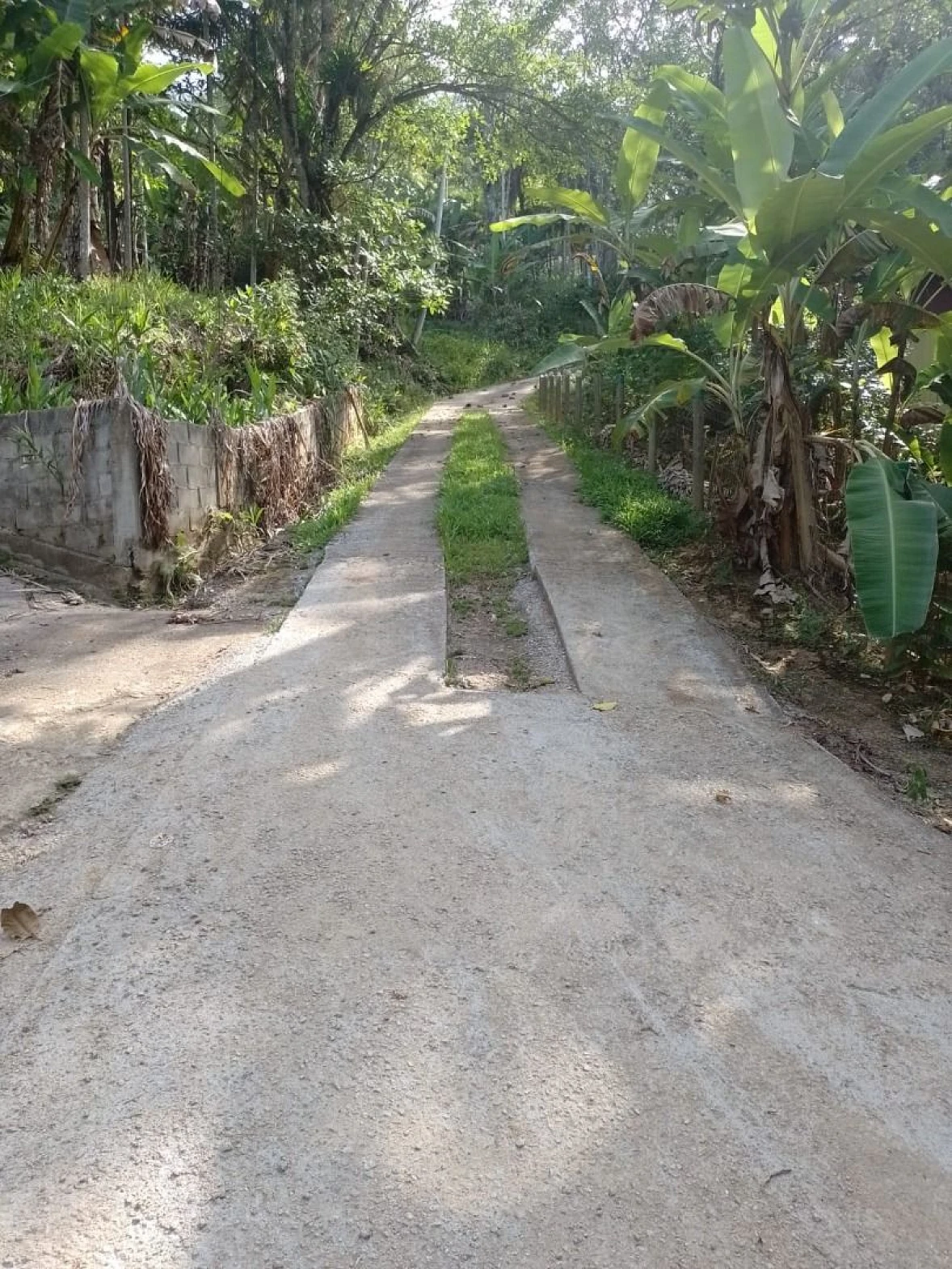 Chácara a Venda com 2 Dormitórios à Venda - Fazendinha - Biguaçu/SC - Foto 21