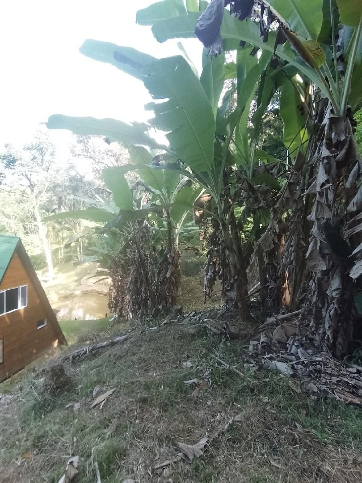 Chácara a Venda com 2 Dormitórios à Venda - Fazendinha - Biguaçu/SC - Foto 22