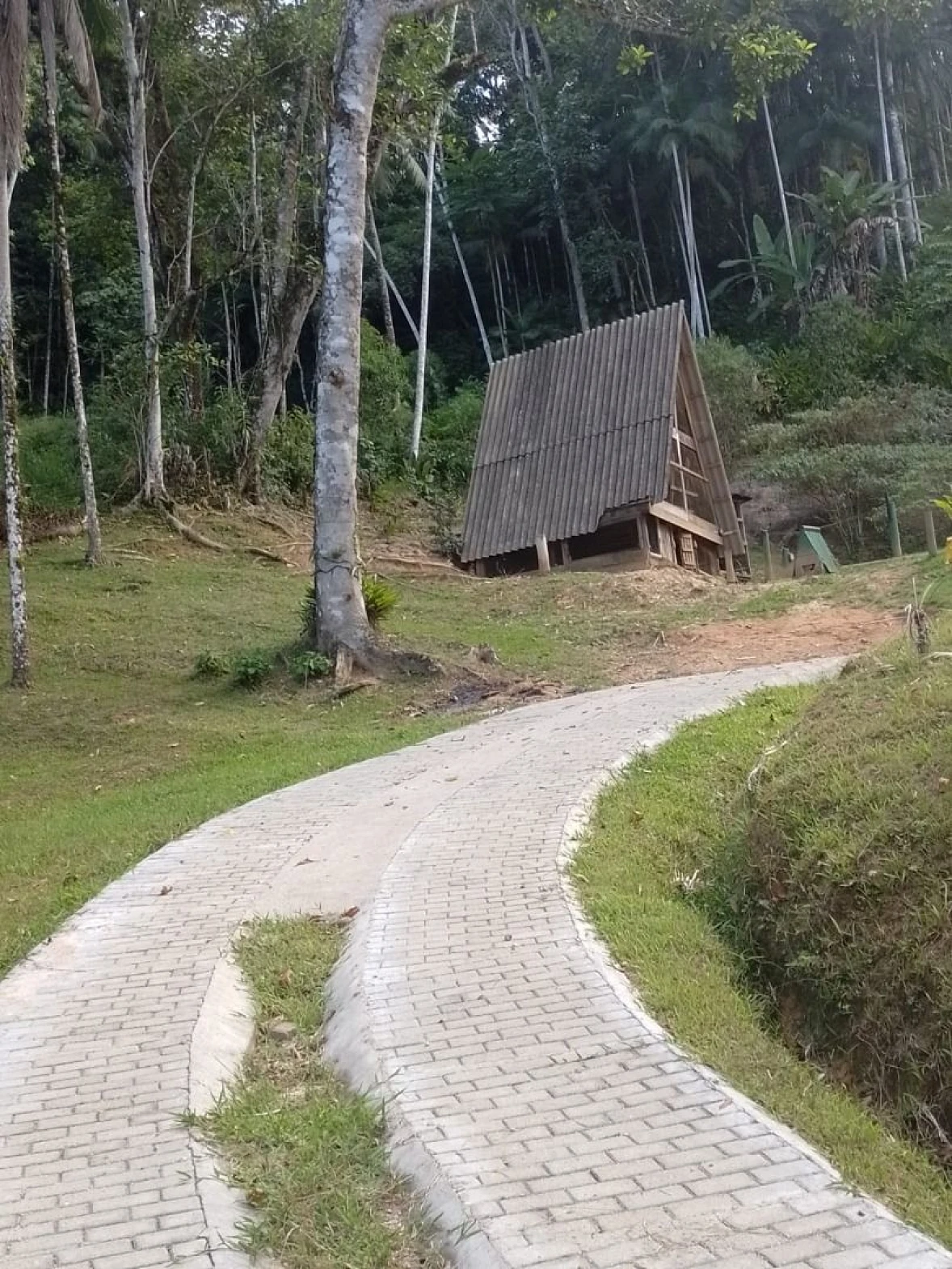 Chácara a Venda com 2 Dormitórios à Venda - Fazendinha - Biguaçu/SC - Foto 23