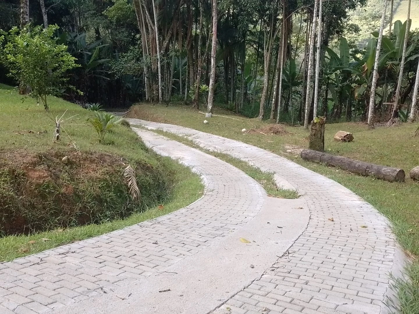 Chácara a Venda com 2 Dormitórios à Venda - Fazendinha - Biguaçu/SC - Foto 25