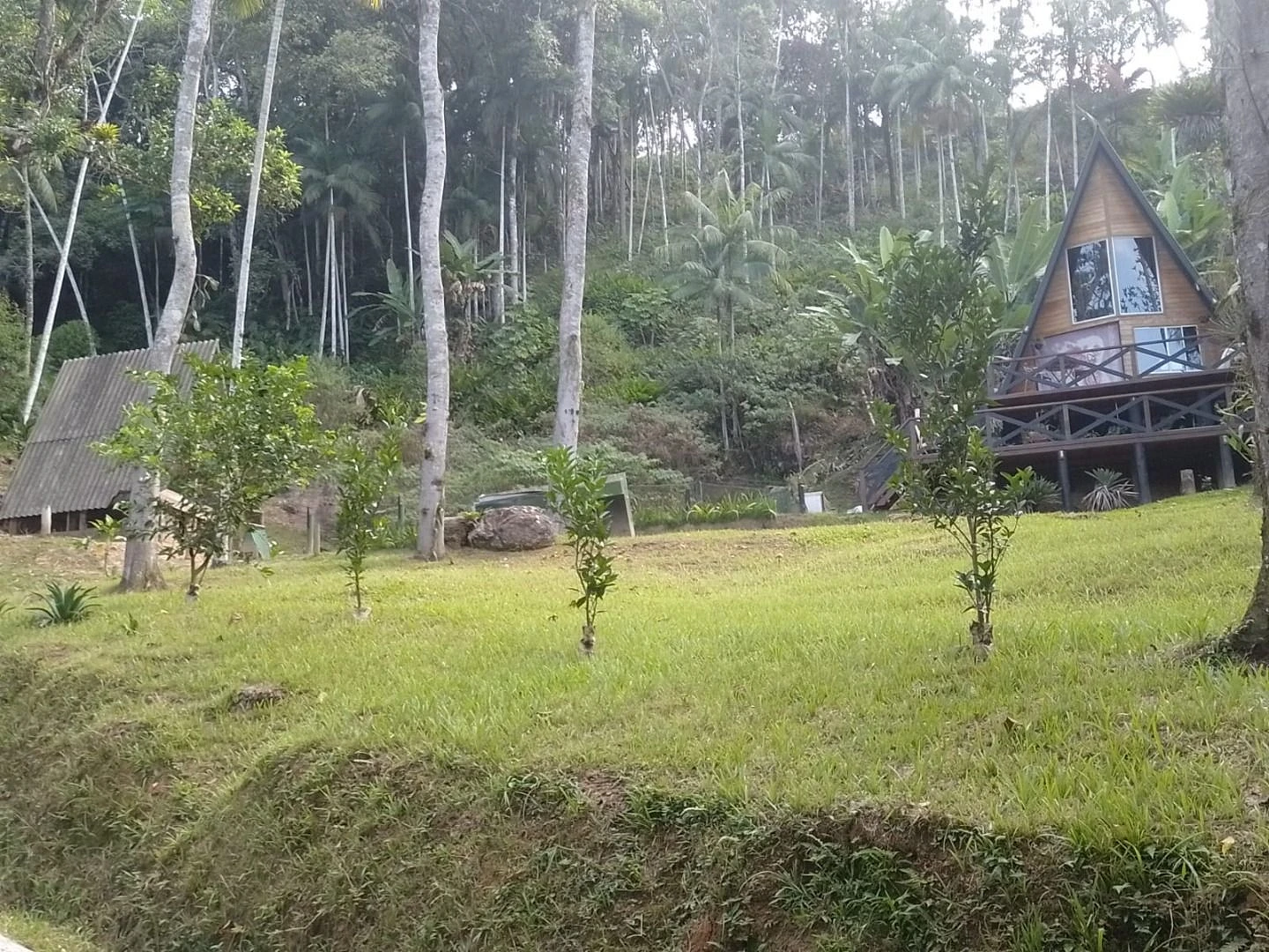 Chácara a Venda com 2 Dormitórios à Venda - Fazendinha - Biguaçu/SC - Foto 26