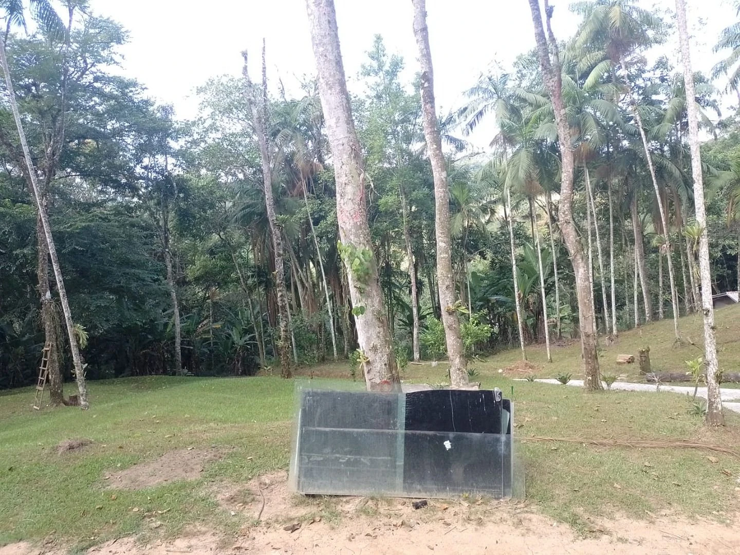 Chácara a Venda com 2 Dormitórios à Venda - Fazendinha - Biguaçu/SC - Foto 8