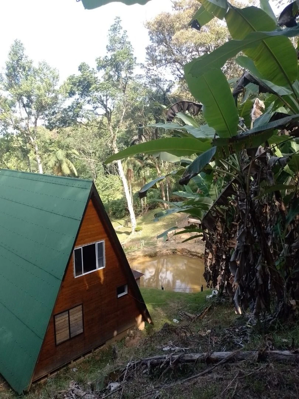 Chácara a Venda com 2 Dormitórios à Venda - Fazendinha - Biguaçu/SC - Foto 9
