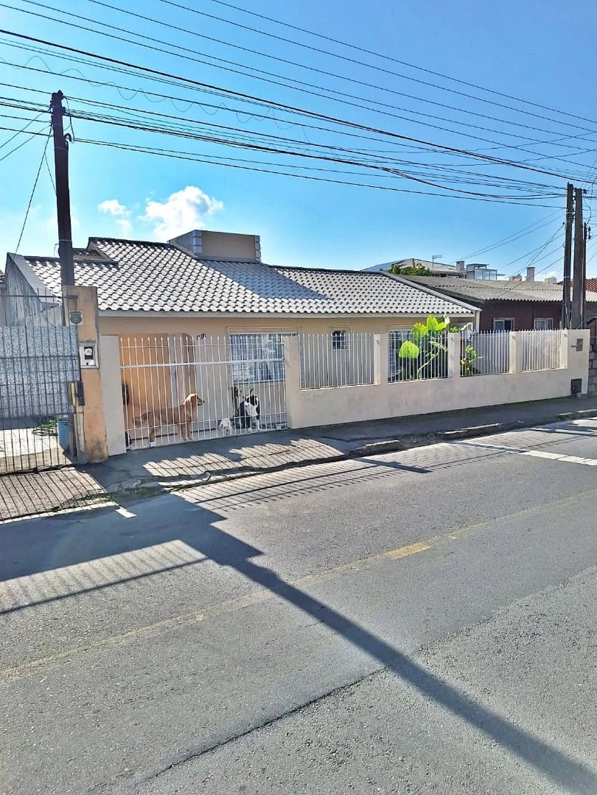 Casa em Real Parque, São José