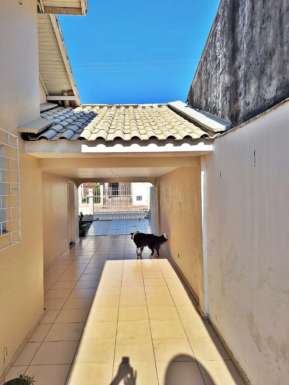Casa a Venda  com 3 Dormitórios - Ipiranga - São José/SC - Foto 12