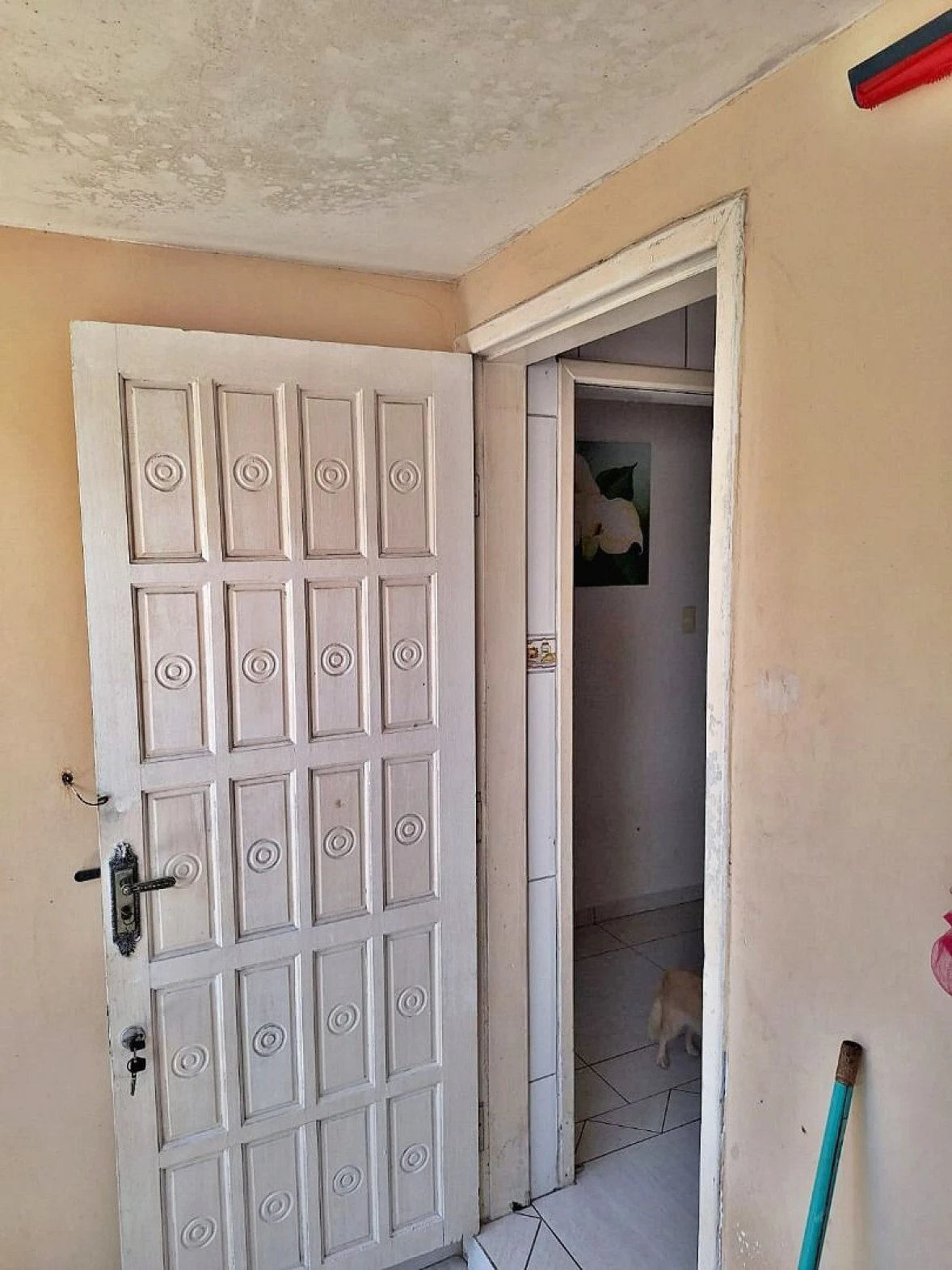 Casa a Venda  com 3 Dormitórios - Ipiranga - São José/SC - Foto 13