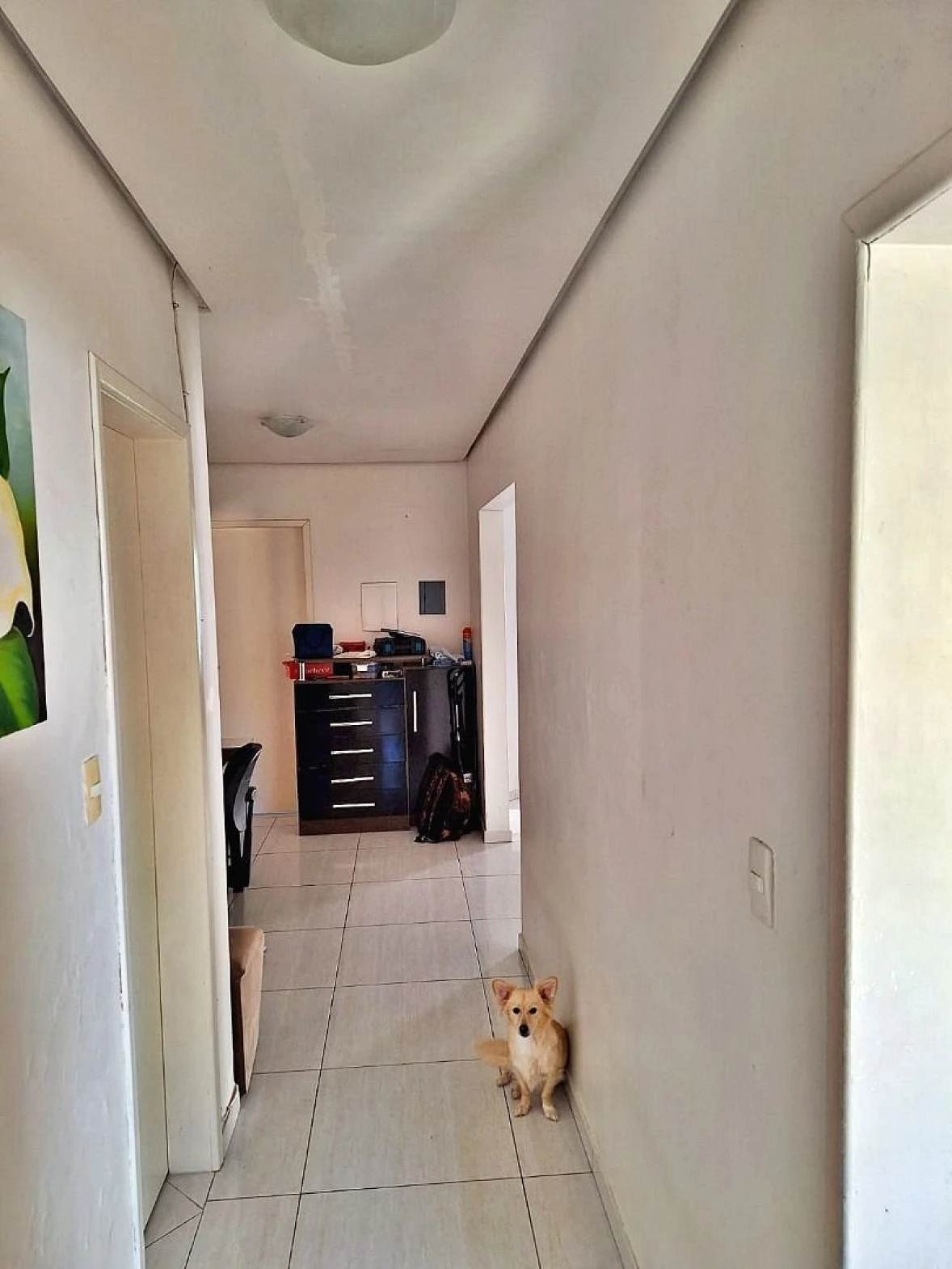 Casa a Venda  com 3 Dormitórios - Ipiranga - São José/SC - Foto 17