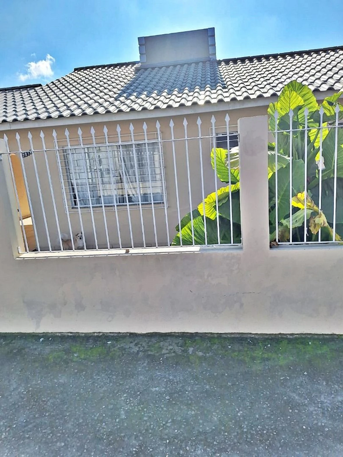 Casa em Real Parque, São José