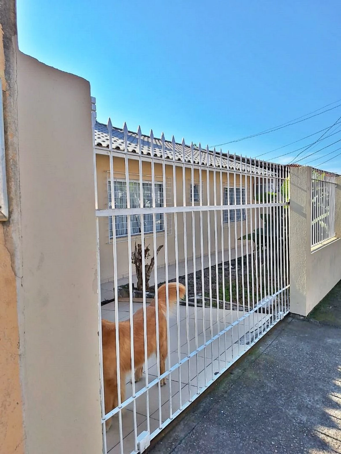 Casa a Venda  com 3 Dormitórios - Ipiranga - São José/SC - Foto 7