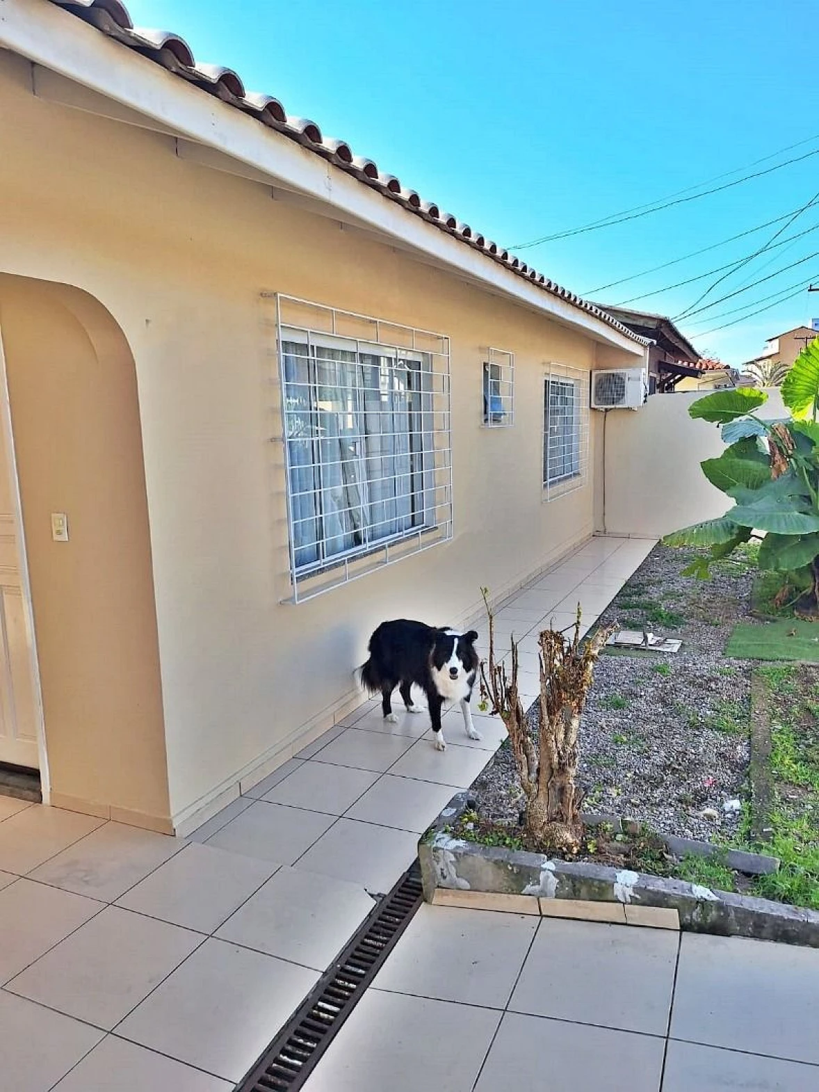 Casa a Venda  com 3 Dormitórios - Ipiranga - São José/SC - Foto 8