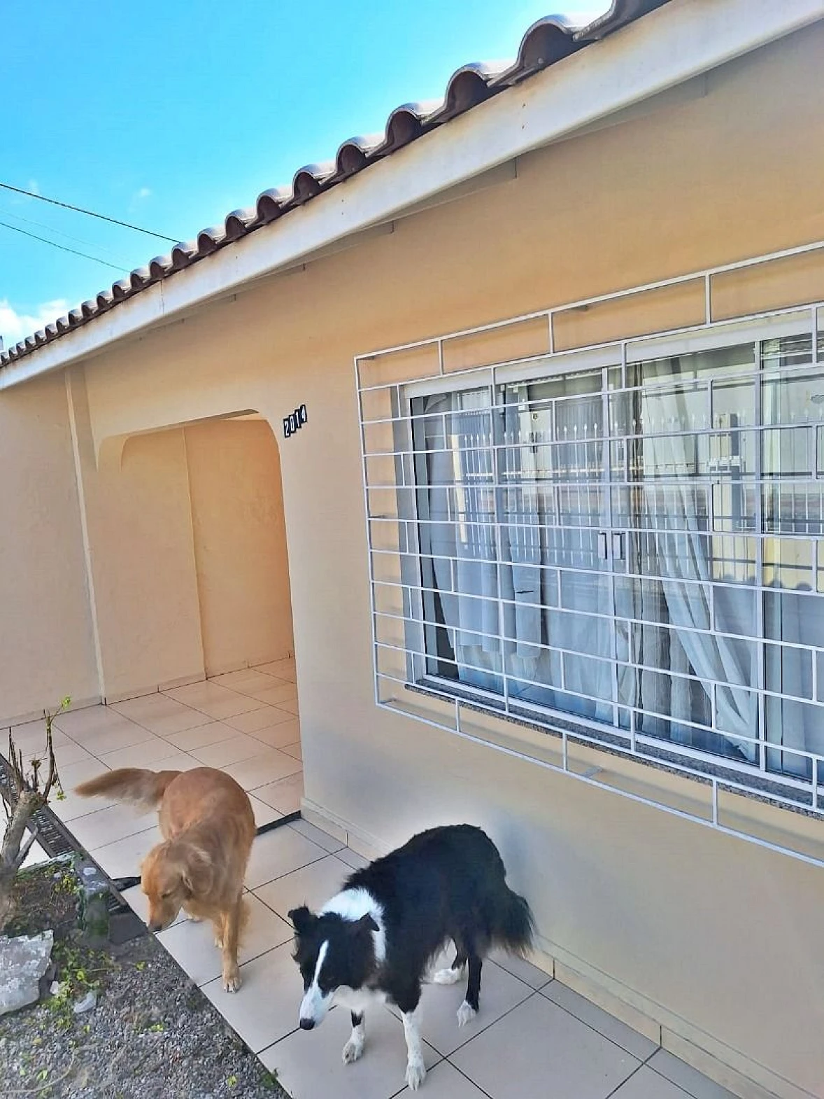 Casa a Venda  com 3 Dormitórios - Ipiranga - São José/SC - Foto 9