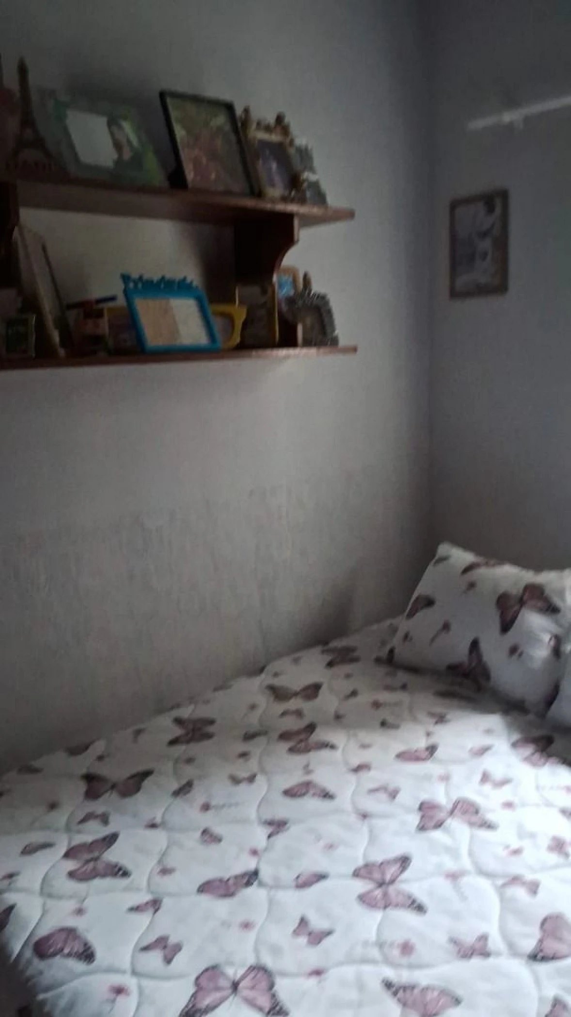 Casa a Venda  com 4 Dormitórios à Venda - Rio Vermelho - Florianópolis/SC - Foto 17