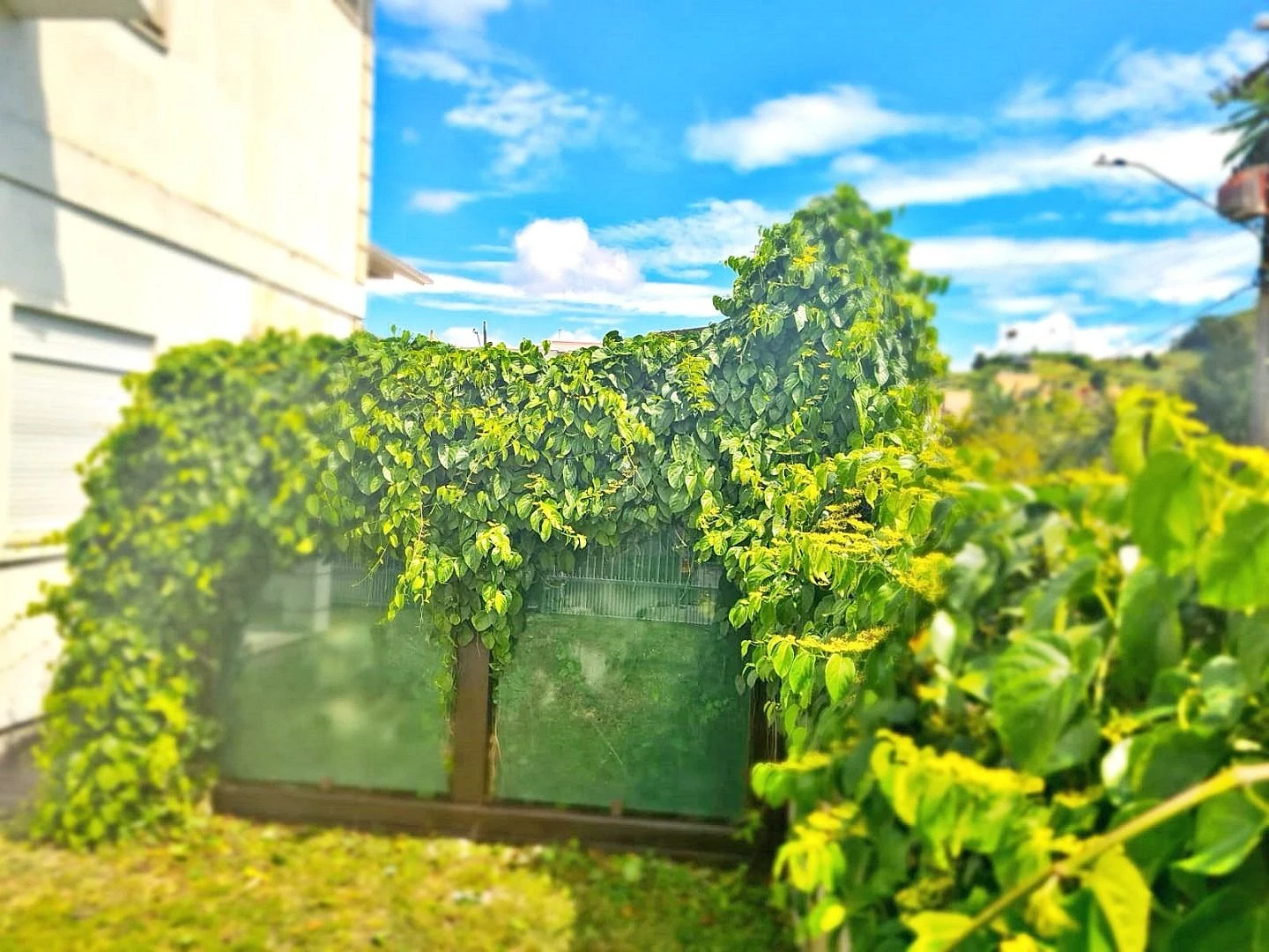 Casa em São Sebastião, Palhoça