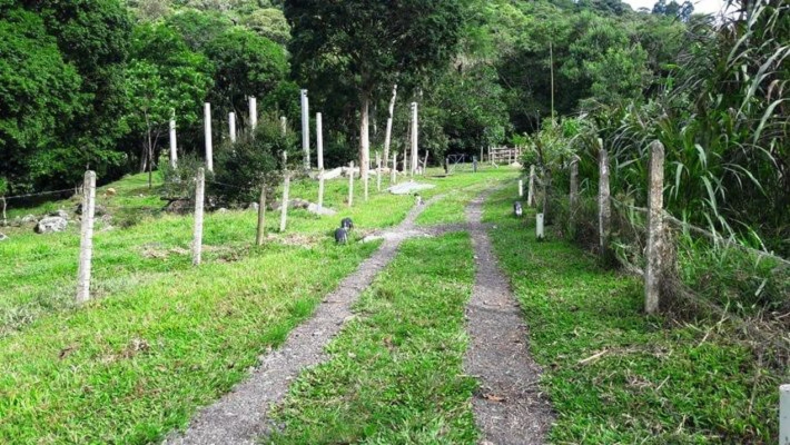 Sítio em Forquilhas, São José
