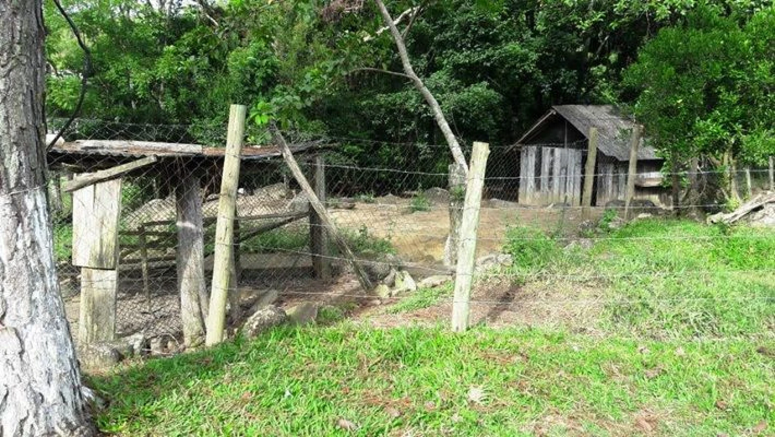 Sitio a Venda - Forquilhas - São José/SC - Foto 12