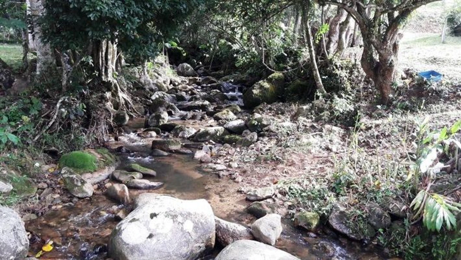 Sitio a Venda - Forquilhas - São José/SC - Foto 13