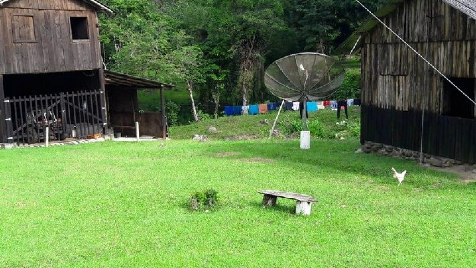 Sitio a Venda - Forquilhas - São José/SC - Foto 14