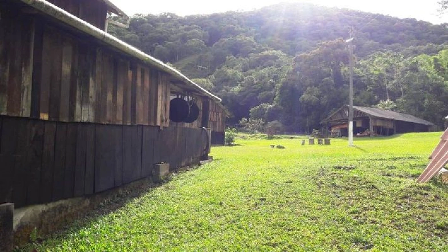 Sitio a Venda - Forquilhas - São José/SC - Foto 16