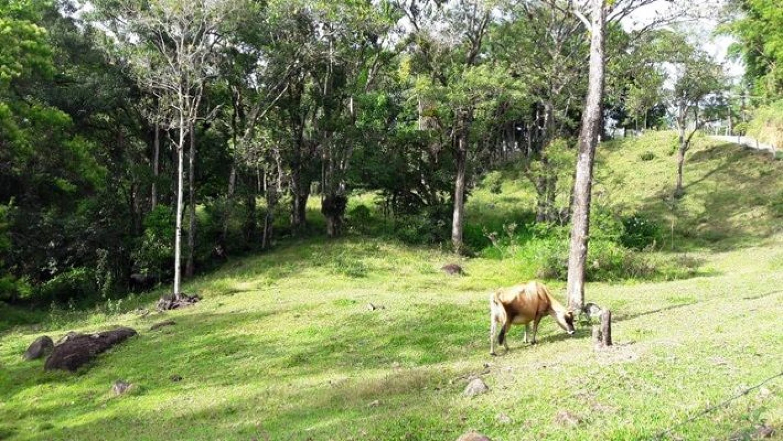 Sítio em Forquilhas, São José