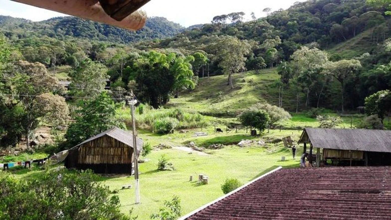 Sitio a Venda - Forquilhas - São José/SC - Foto 22