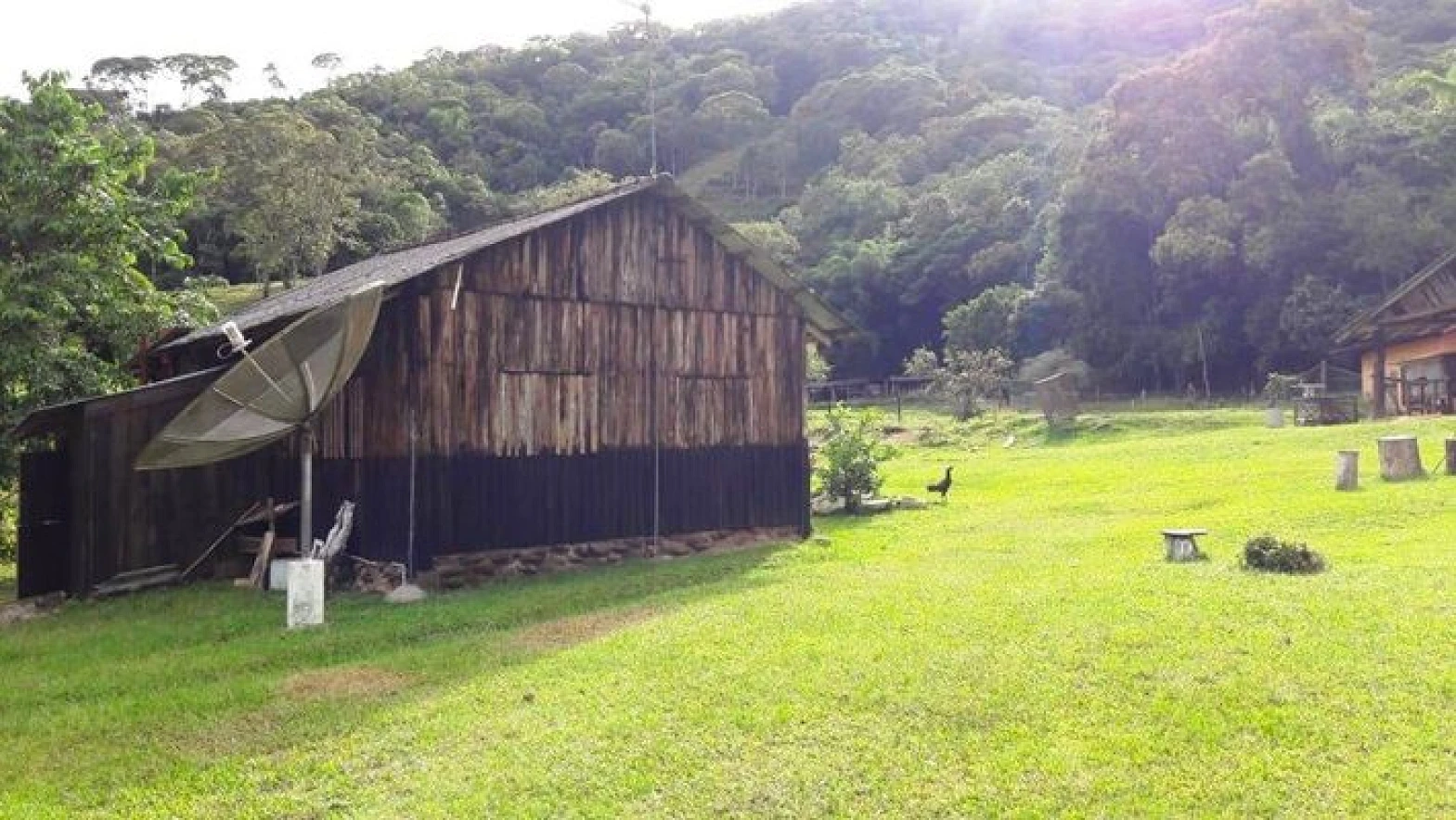 Sitio a Venda - Forquilhas - São José/SC - Foto 28