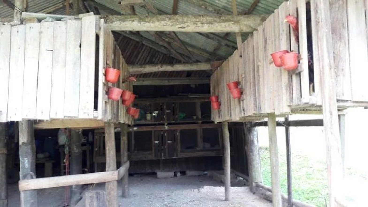 Sitio a Venda - Forquilhas - São José/SC - Foto 31