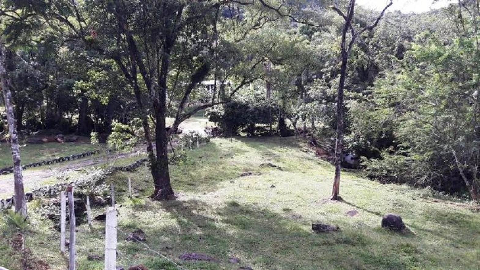 Sitio a Venda - Forquilhas - São José/SC - Foto 34