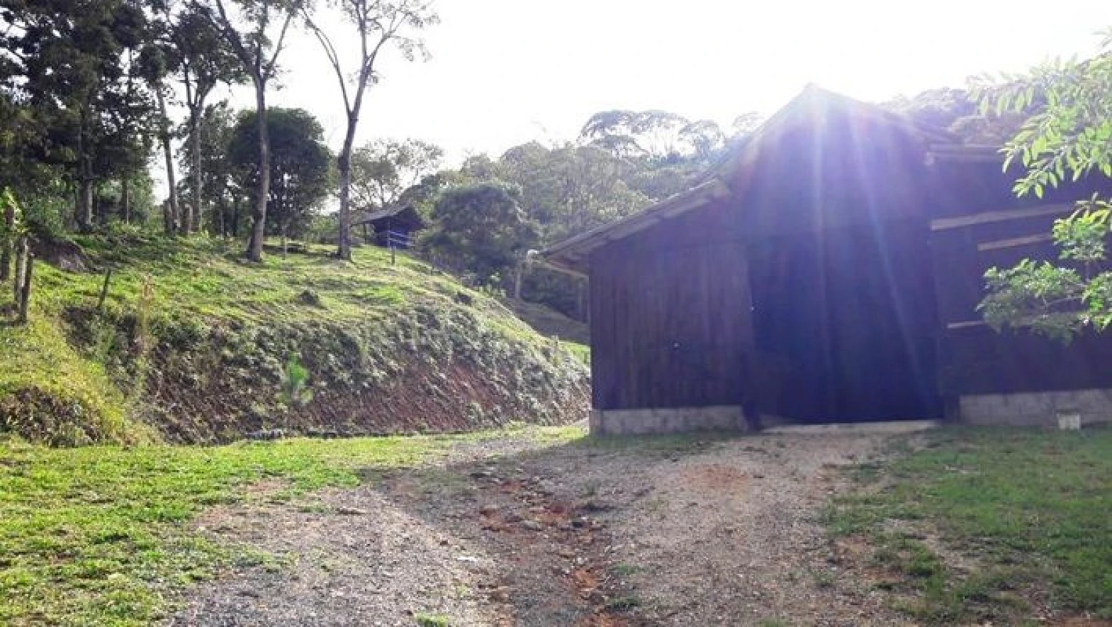 Sitio a Venda - Forquilhas - São José/SC - Foto 36