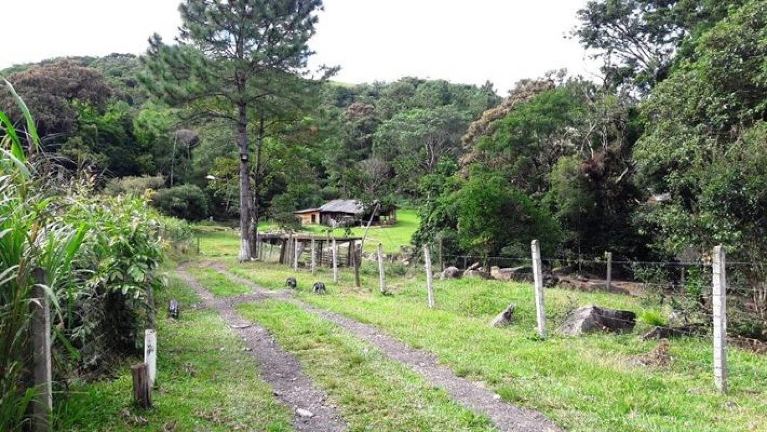 Sitio a Venda - Forquilhas - São José/SC - Foto 37