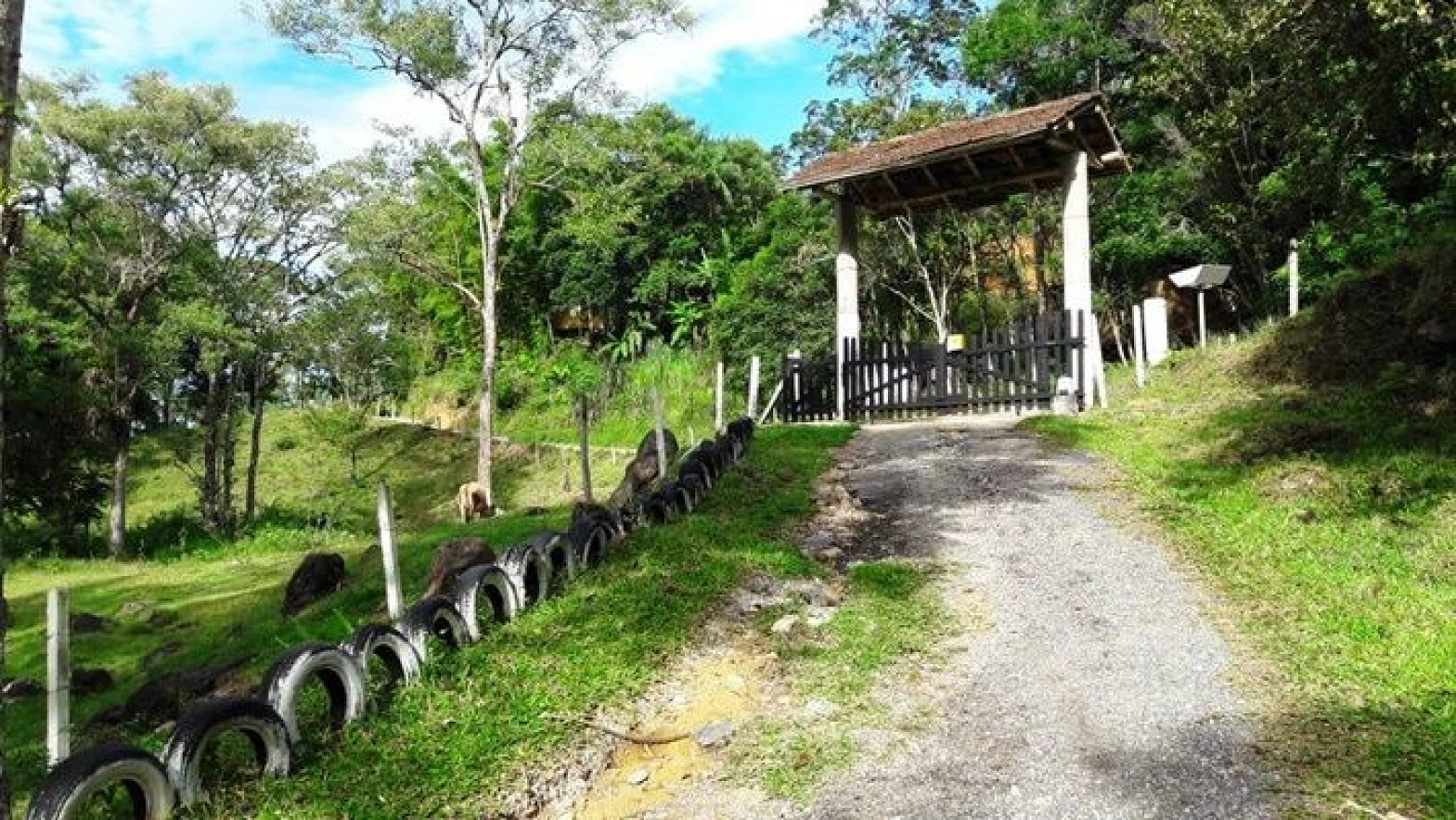 Sitio a Venda - Forquilhas - São José/SC - Foto 38