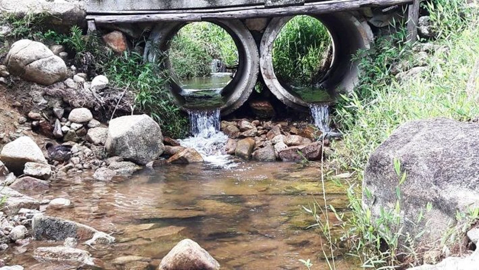 Sitio a Venda - Forquilhas - São José/SC - Foto 39