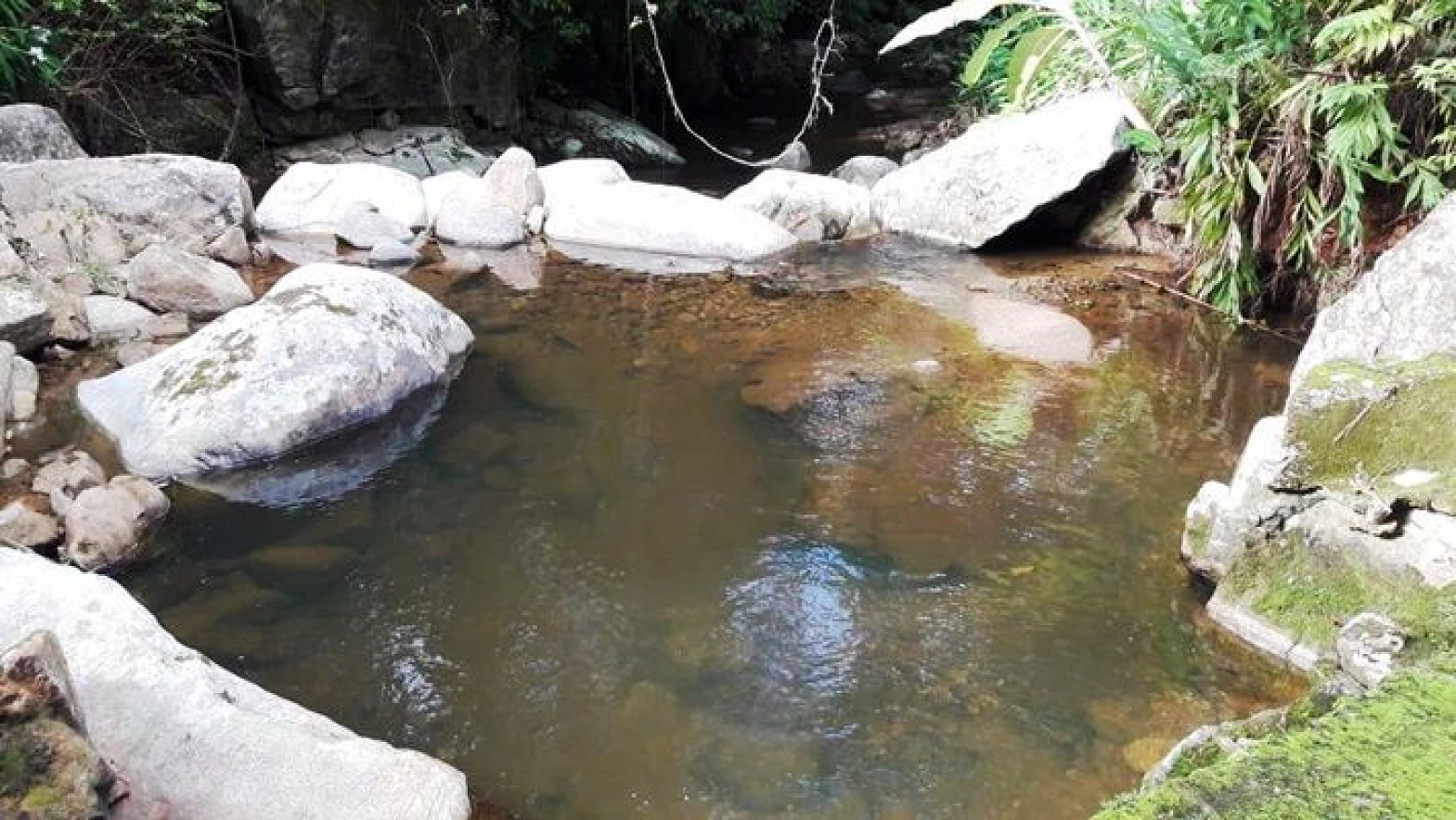 Sitio a Venda - Forquilhas - São José/SC - Foto 40