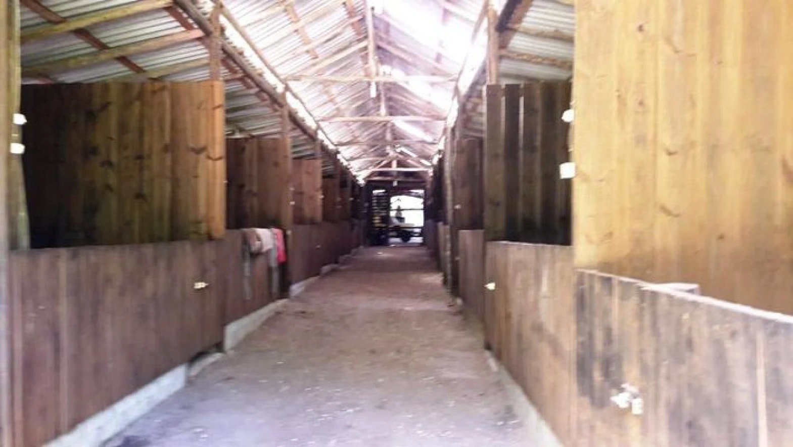 Sitio a Venda - Forquilhas - São José/SC - Foto 6