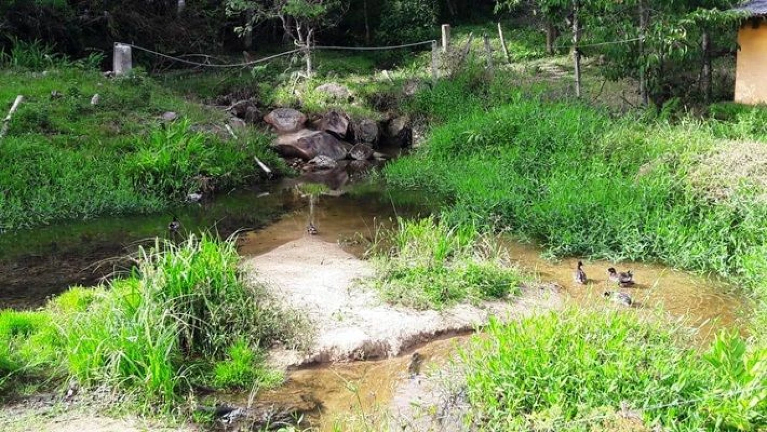 Sitio a Venda - Forquilhas - São José/SC - Foto 8