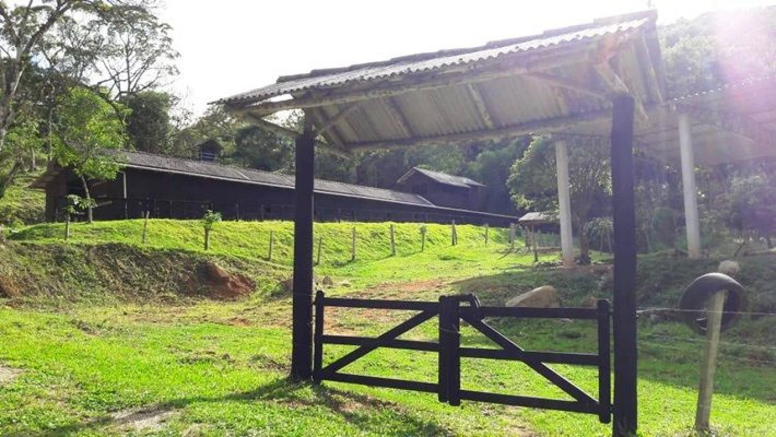 Sitio a Venda - Forquilhas - São José/SC - Foto 9
