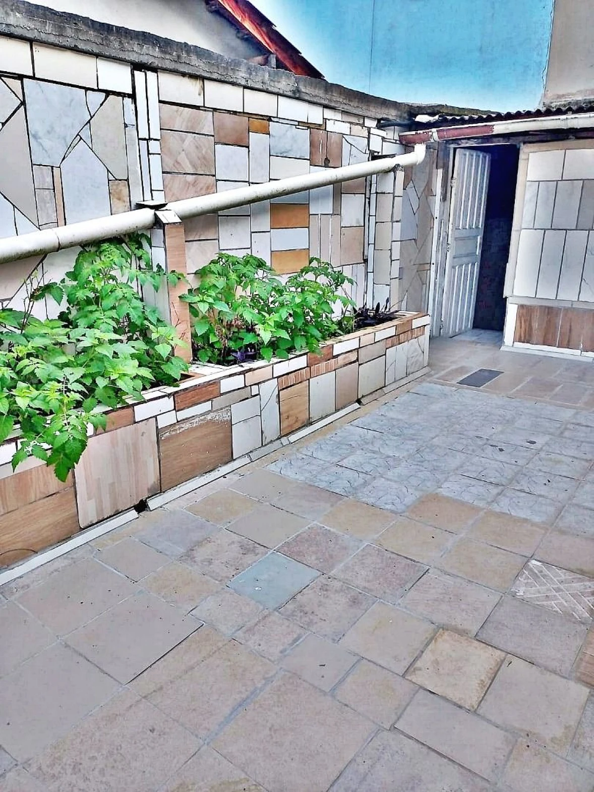 Prédio Comercial e Lojas - Praia Comprida - Foto 27