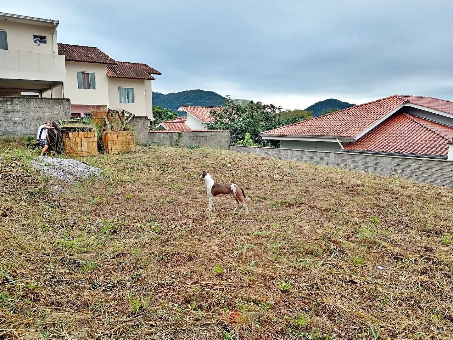 Terreno 360m² Escritura - Real Parque - Foto 6