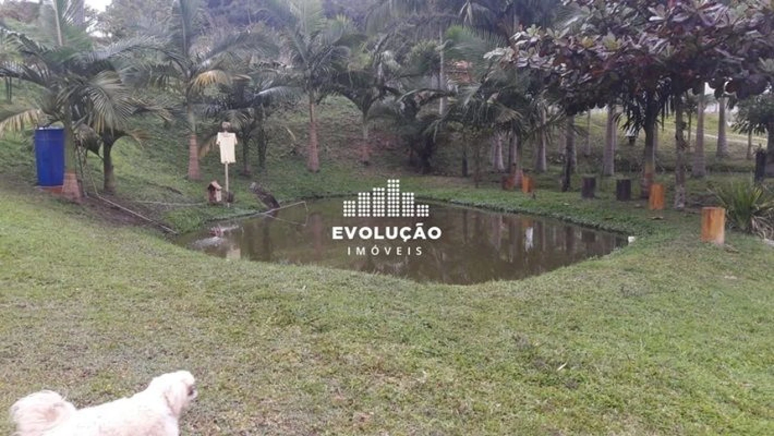 Chácara a Venda , em Três Riachos - Biguaçu SC - Foto 18