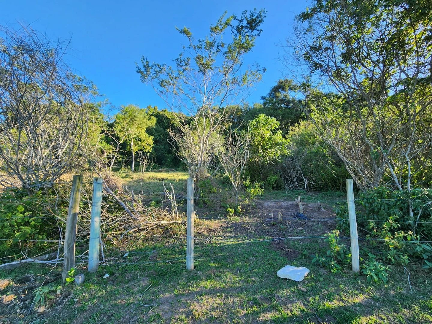 Terreno  296m², Escrituta - Forquilhas - Foto 13