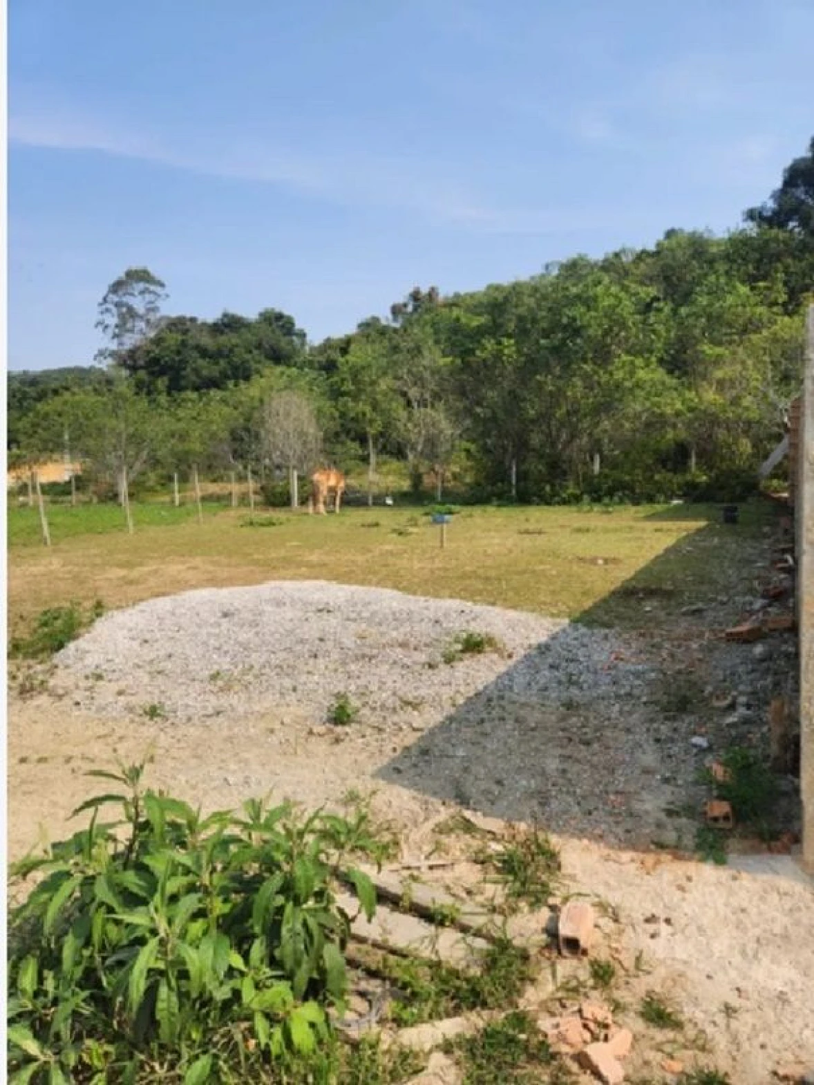 Terreno  296m², Escrituta - Forquilhas - Foto 6